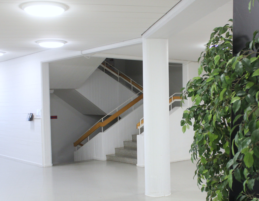 Aulassa sijaitseva valoisa ja vaalea moderni portaikko